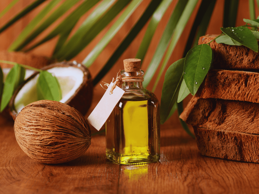 Óleos para Umectação Capilar - Óleo de Coco 100 por cento Vegetal Óleos para Umectação Capilar - Óleo de Coco 100 por cento Vegetal - um coco seco ao lado de um frasco com óleo de coco, em cima de uma mesa com um vaso e uma planta.